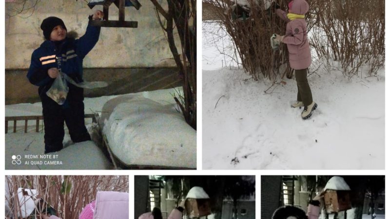 Тучковские школьники подкармливают птиц