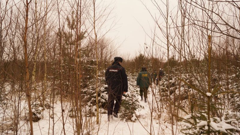 Более 2 500 нарушений правил пожарной безопасности в лесах Подмосковья выявлено лесной охраной