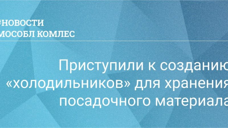 В Подмосковье приступили к созданию «холодильников» для хранения посадочного материала