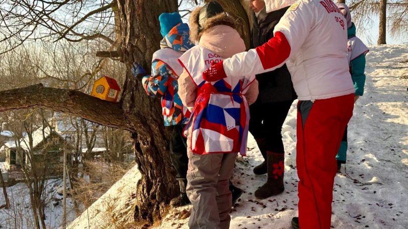 На Городке развесили кормушки