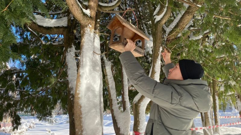 Рузские школьники регулярно наполняют кормом «птичьи столовые»