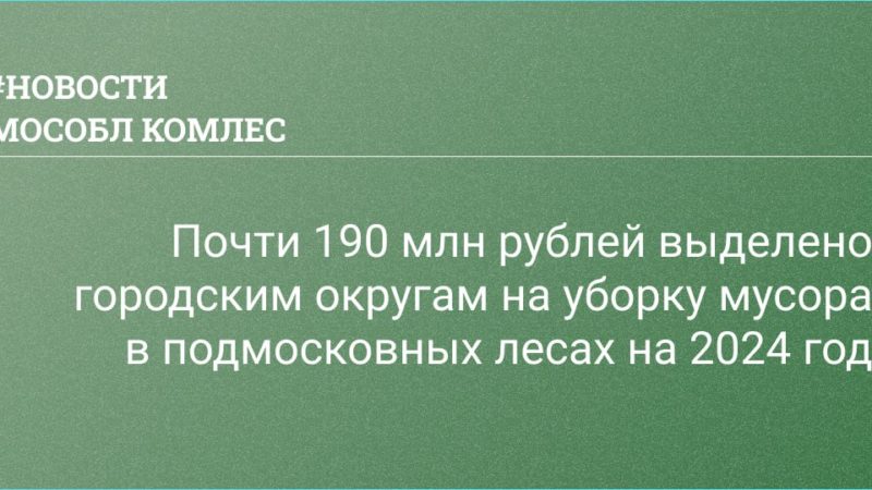 Почти 190 миллионов рублей выделено регионом городским округам на уборку мусора в лесах Подмосковья на 2024 год