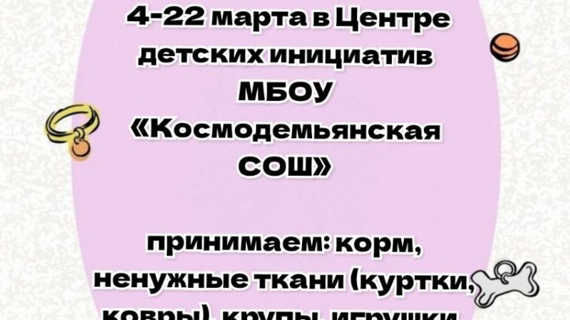 Космодемьянские волонтеры помогают бездомным животным