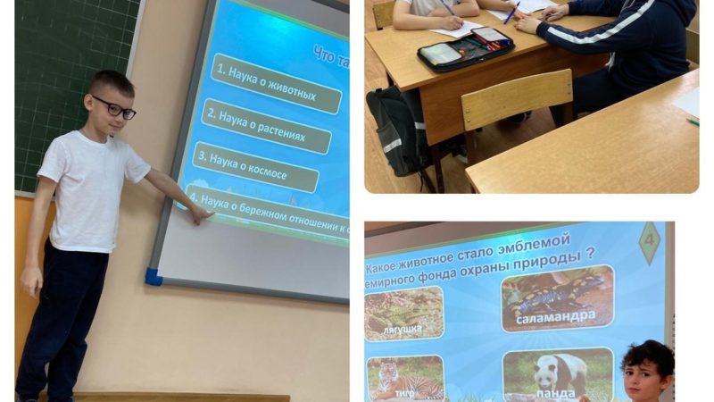 Тучковские школьники приняли участие в экологической игре