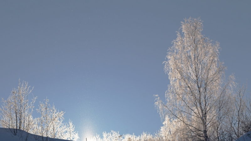 Ружанам — о фотовыставке «Прощание с зимой»