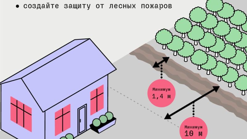 Ружан информируют: узнать, граничит ли участок с лесом и избежать лесных пожаров поможет онлайн-сервис «Смежник»
