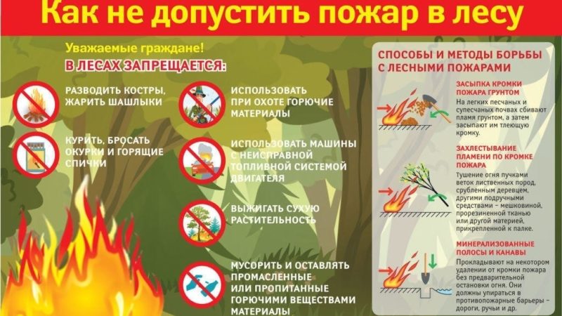 Ружанам — о штрафах за нарушение правил пожарной безопасности в лесу