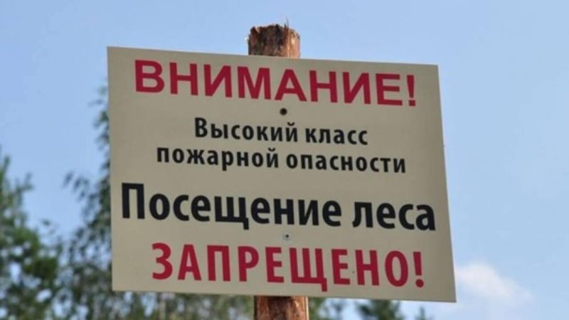 Ружан информируют о запрете на посещение лесов