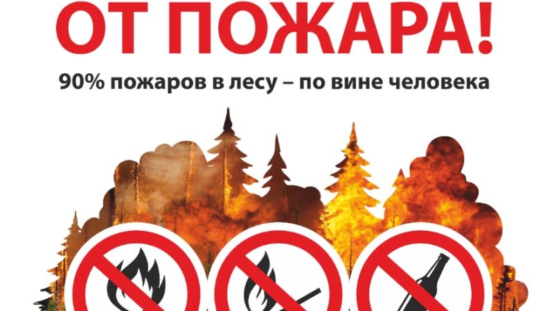 Ружанам — о штрафах за лесные пожары