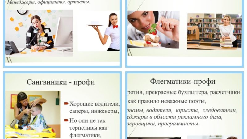 Тучковским школьникам – о влиянии темперамента на выбор профессии