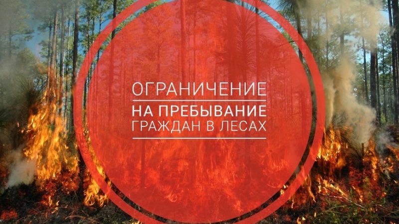 Ружан информируют об ограничении пребывания в лесу