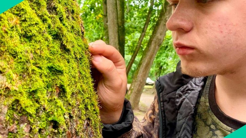 На Городке работают различные кружки по интересам