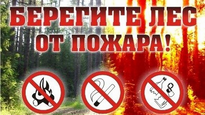 За нарушение правил пожарной безопасности в лесах предусмотрена административная и уголовная ответственность