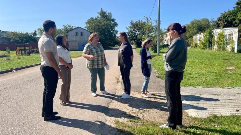 Заместитель главы Рузского городского округа Армен Шахбабян провёл обход территории деревни Нововолково