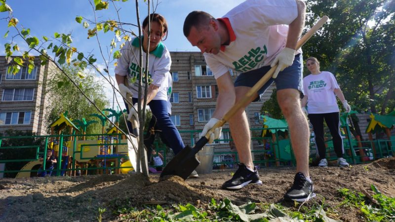 Более 3000 саженцев деревьев высадили в Рузском округе