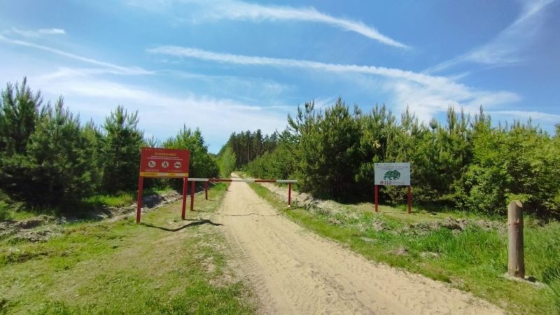 Ограничено пребывание граждан в лесах