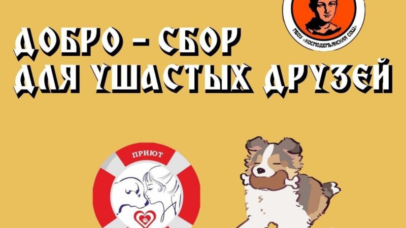 В Рузском округе открыты два пункта приема помощи для питомцев Можайского приюта