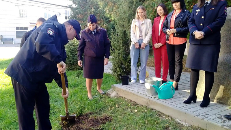 Рузские полицейские высадили туи у памятного камня