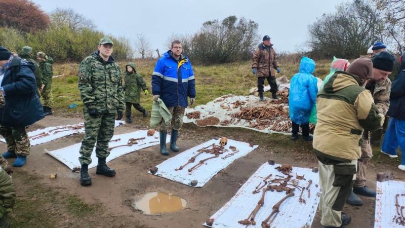 В районе урочища Воскресенки Рузского округа поисковики извлекли останки советских воинов