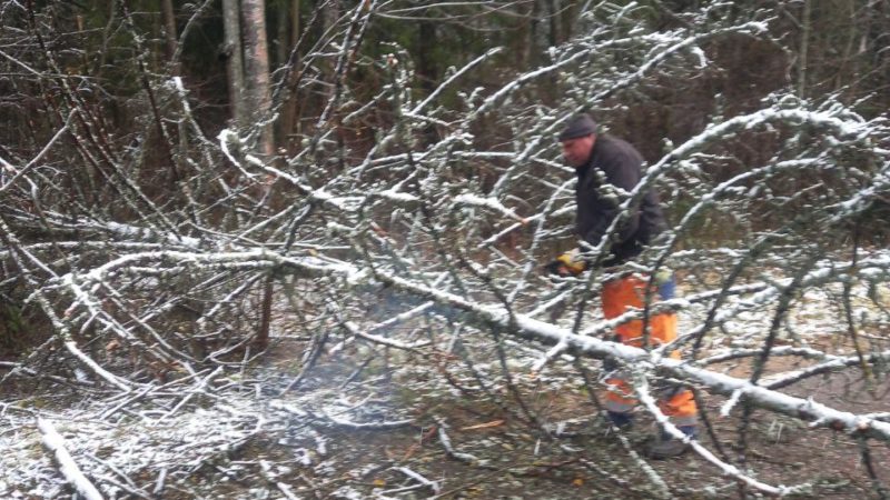 В Рузском округе шесть бригад устраняют последствия циклонов