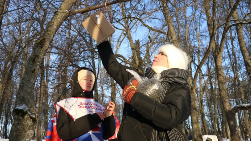 Молодежка проводит акцию по поддержке зимующих птиц