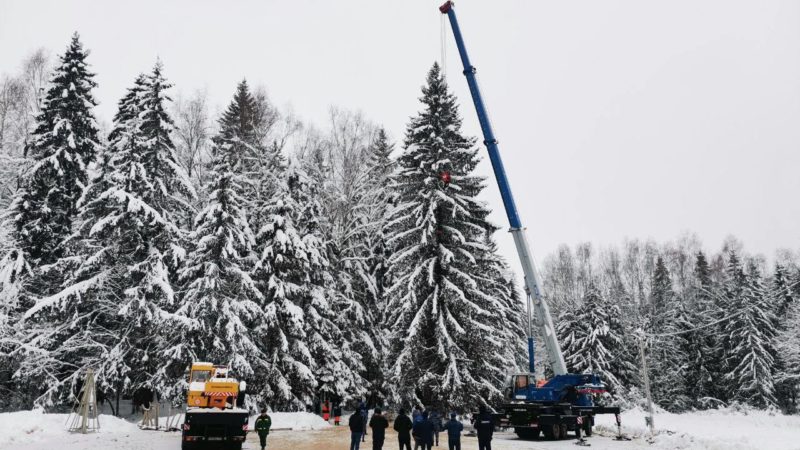 Безопасность при заготовке главной новогодней ели России обеспечили Росгвардейцы