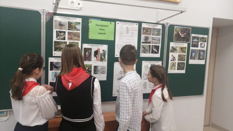 Дороховские школьники узнали о видах зимующих птиц