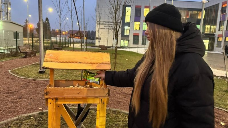 Тучковские школьники принимают участие в акции «Пернатый квартал»