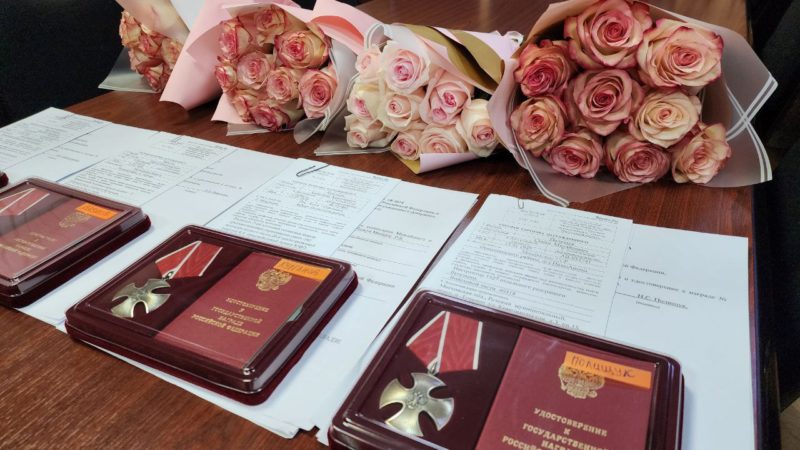 Рузских бойцов, погибших на СВО, удостоили государственными наградами