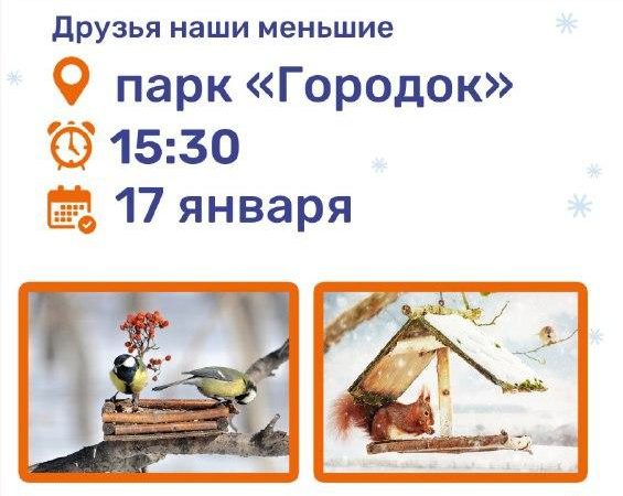 На Городке будут подкармливать птиц