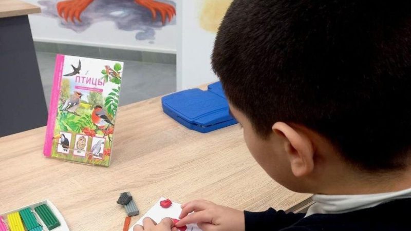 Юным ружанам рассказали о снегирях