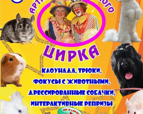 В Дорохово приглашают на цирковое выступление