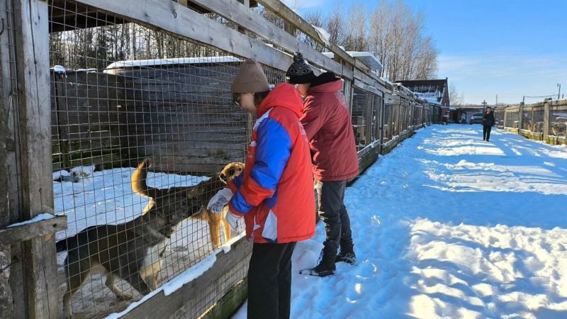 Космодемьянские волонтеры передали помощь в Можайский приют для собак