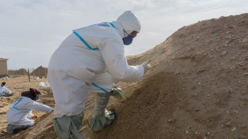 Последствия разлива мазута в Чёрном море помогает устранить волонтер из Рузы