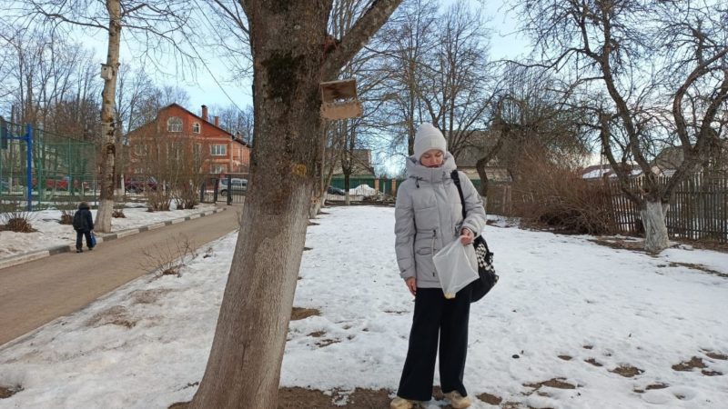 Рузские школьники помогают зимующим птицам