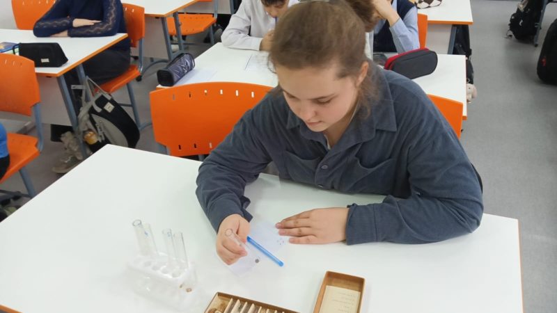 Рузским школьникам – о строении семян фасоли и пшеницы