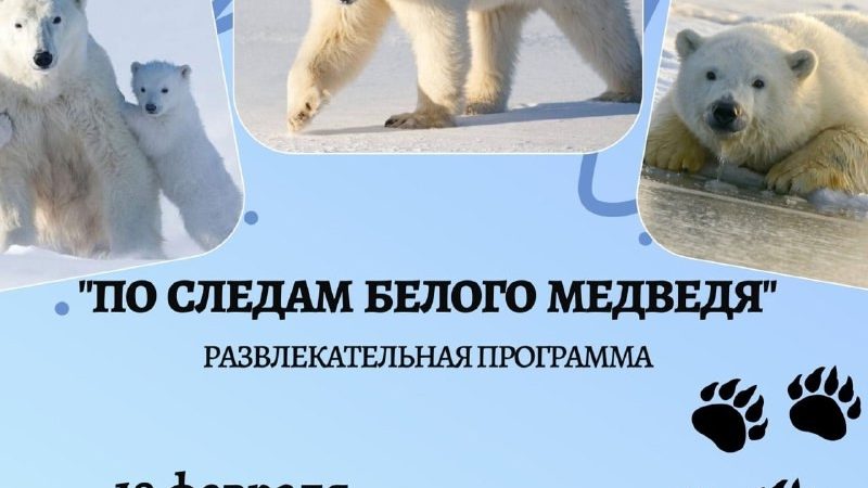 В Рузе приглашают на программу «По следам белого медведя»