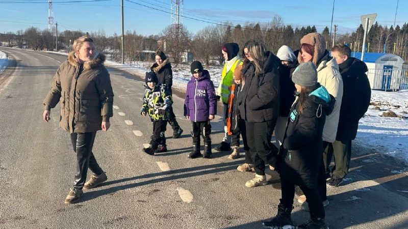 Златоустовская библиотека провела профилактический час «Безопасность детства»