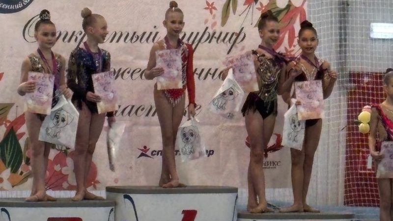 Рузские гимнастки достойно выступили в Химках