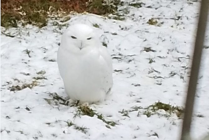 Тучковские школьники посетили парк «Воробьи»
