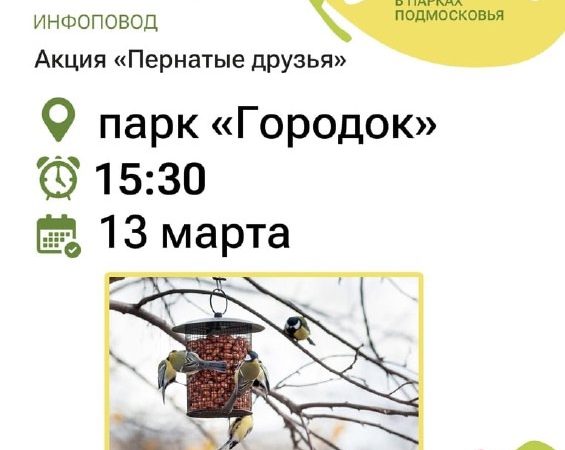 Парк культуры и отдыха «Городок» приглашает на акцию «Пернатые друзья»