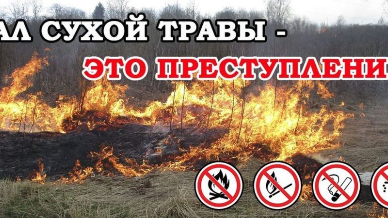 Ружанам – о недопустимости пала травы