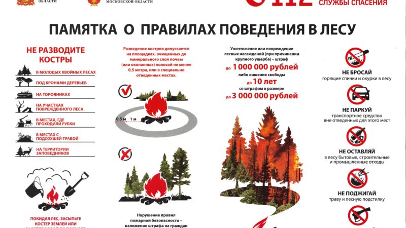 Ружанам напоминают правила пожарной безопасности в лесу