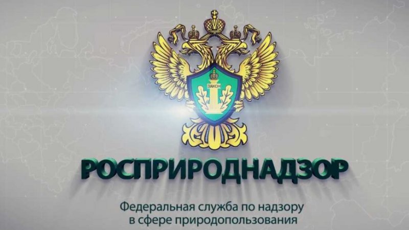 Ружанам – о вебинарах по новым правилам отчетности РОП за 2024 год