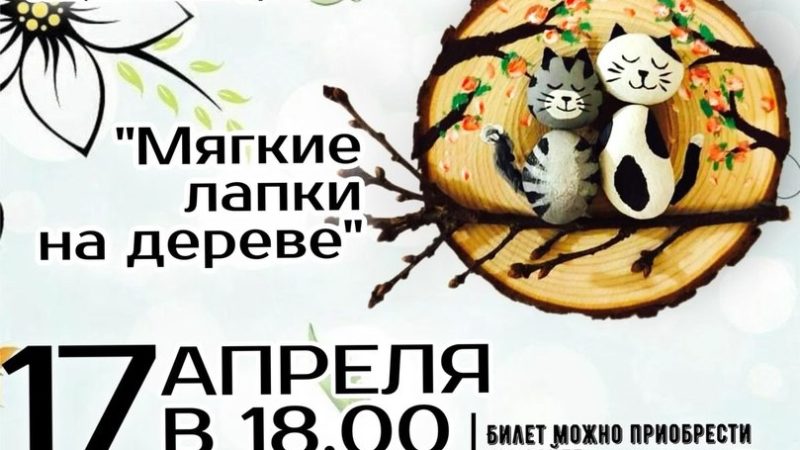 В Тучково приглашают на мастер-класс «Мягкие лапки на дереве»