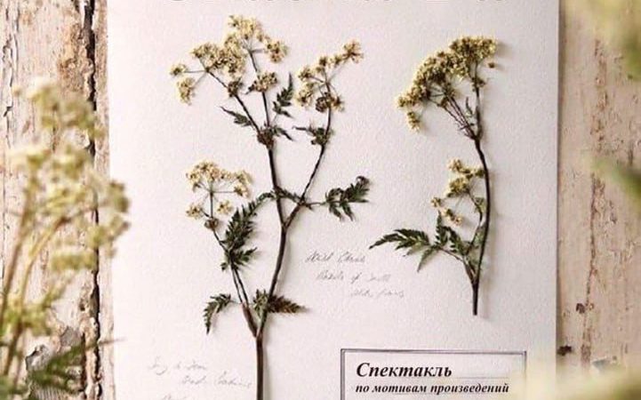 Театральная студия «Небосвод» покажет спектакль «Сказки Ба»