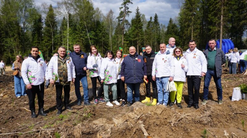 В Рузском округе прошла масштабная акция по сохранению и восстановлению леса «Сад памяти»