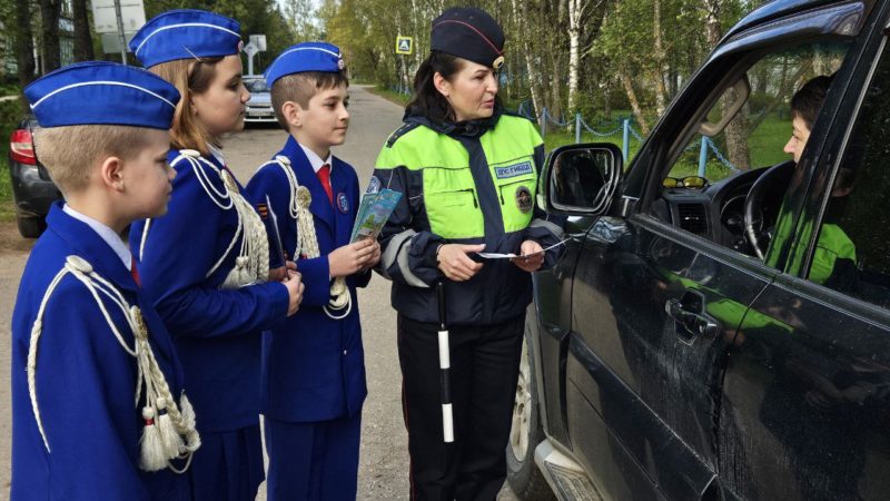 В Сытьково провели акцию «Дорога в школу по весёлой зебре»