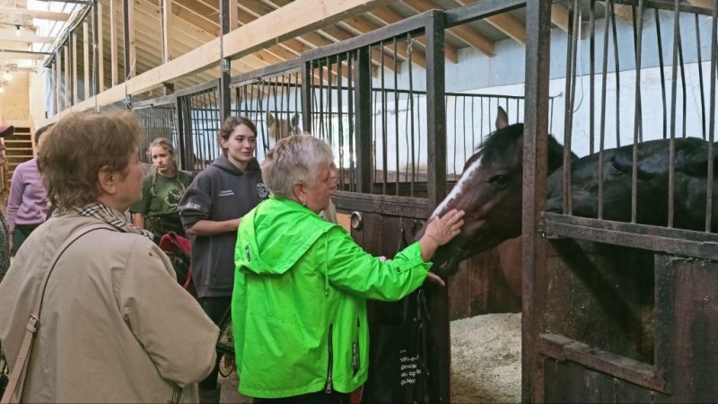 Рузские долголеты катались на лошадях