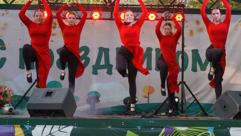 В Сытьково отметили День деревни